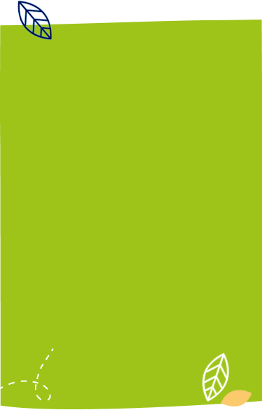 Here’s What Leading Nutrition Experts Have To Say